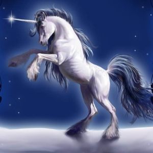 Meet your Posher, Betsy